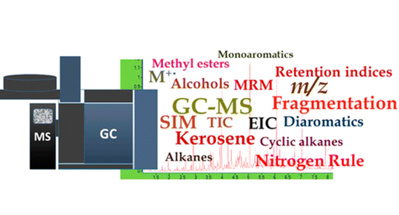 Curso em Cromatografia Gasosa (GC)