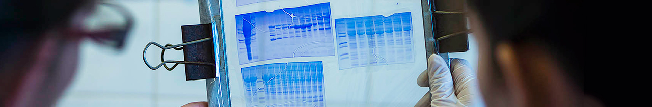 Curso em Técnicas Laboratoriais de Química